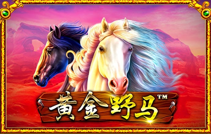 九州体育官网下载